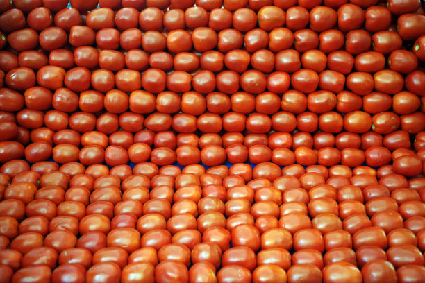 西红柿图片下载