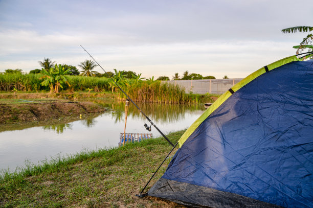 蓝色帐篷露营和钓鱼的沼泽在农村图片下载