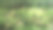 在特加朗巴厘岛种植水稻的梯田山丘视野开阔图片下载