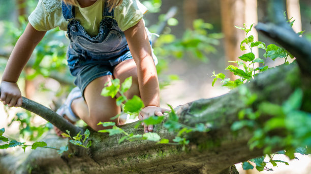 女孩在森林里玩耍图片下载