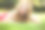 俯视图有吸引力的女性模特躺在公园的绿色草地上，在休息的时间看相机，高加索女人与金发花一天在自然的肖像图片下载