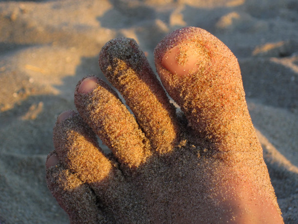 沙滩上的沙质脚趾图片下载