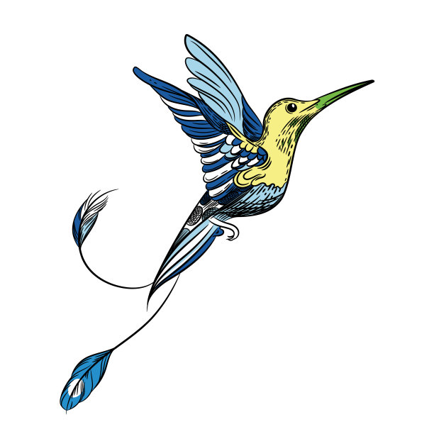 蜂鸟的矢量图像。纹身艺术，t恤设计。图片下载
