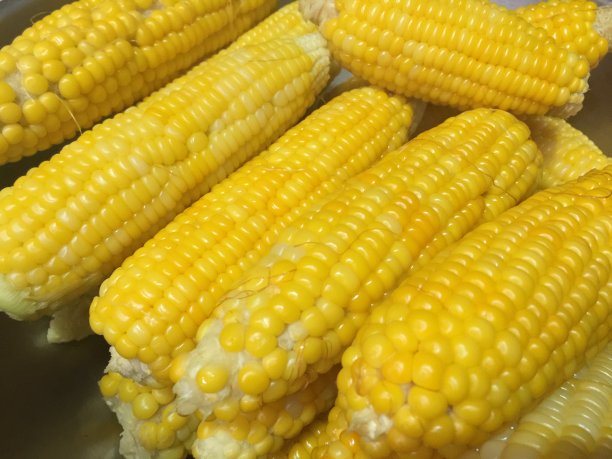 煮黄的甜玉米图片下载