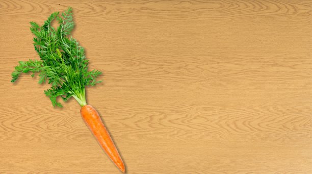 胡萝卜。图片下载