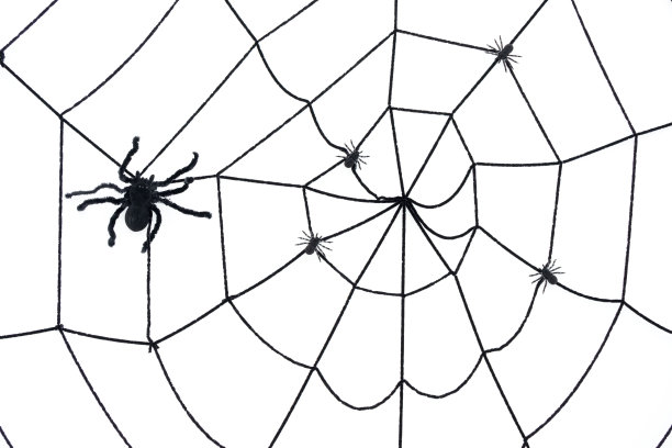 万圣节背景的概念。图片下载