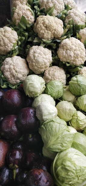 卷心菜和花椰菜图片下载