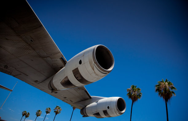 棕榈树在机场降落图片下载