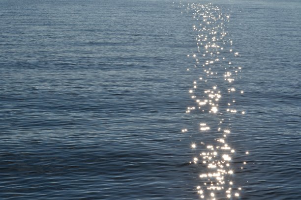 跟随你的路径图片下载