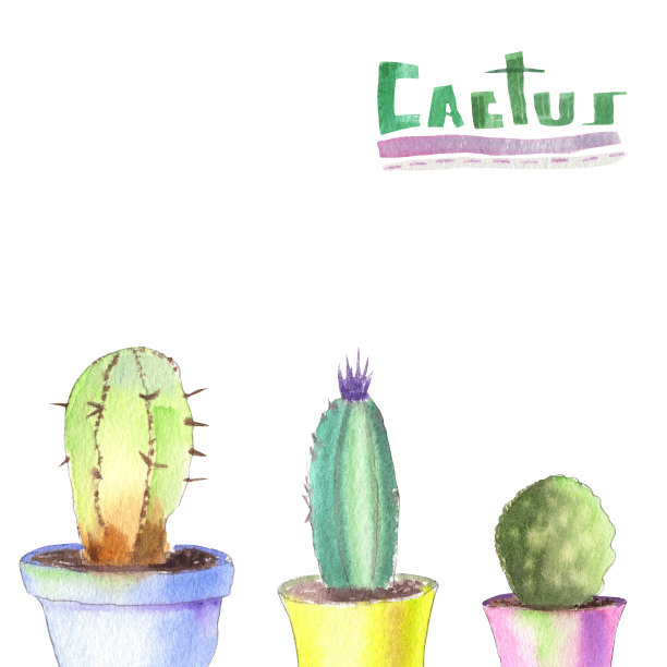 仙人掌图片下载