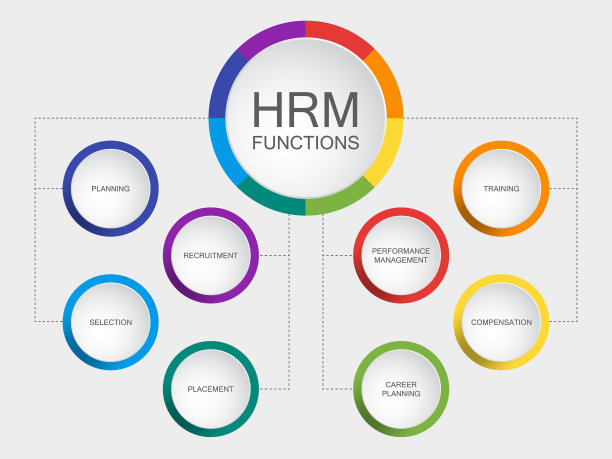 带圆图的矢量幻灯片模板。人力资源管理或人力资源管理功能图方案图片下载