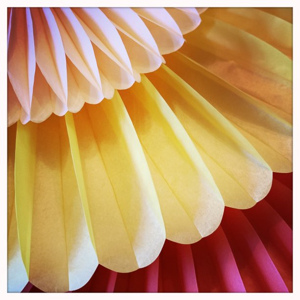 纸装饰图片下载