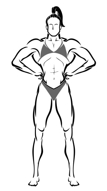 女性健身者线条艺术图片下载