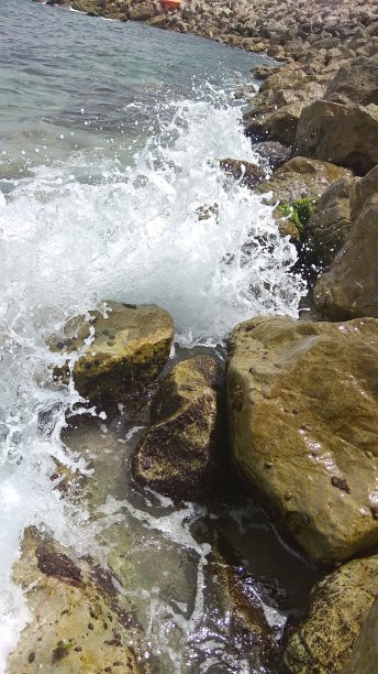 在正确的时间图片下载
