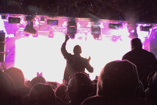 Silohuette在DJ音乐会上欢呼图片下载