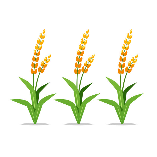 卡通水稻植株病媒分离插图图片下载