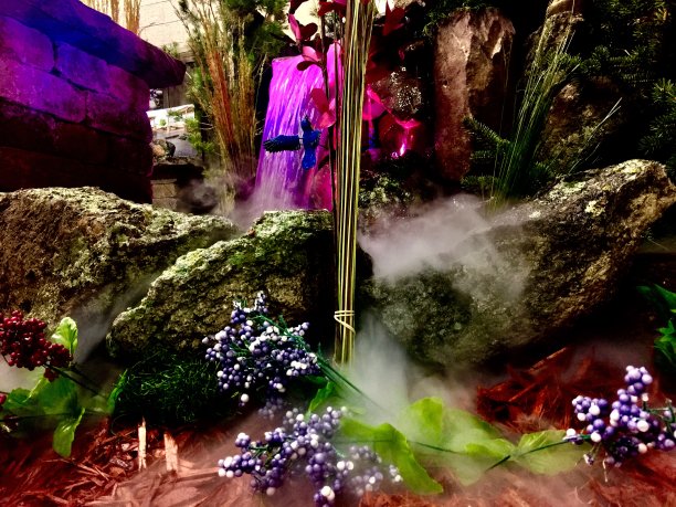 植物和水图片下载