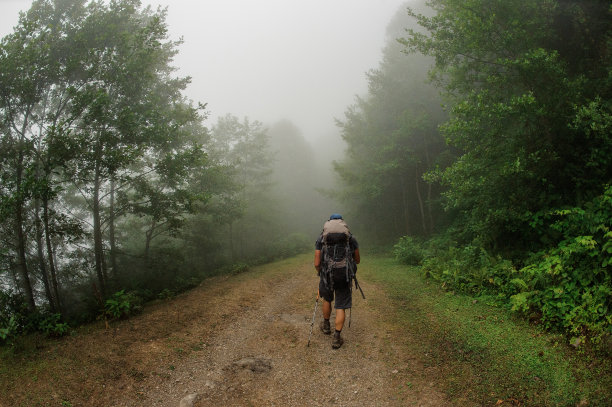 背包男游客穿过森林图片下载