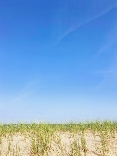 海滩上的细节图片下载