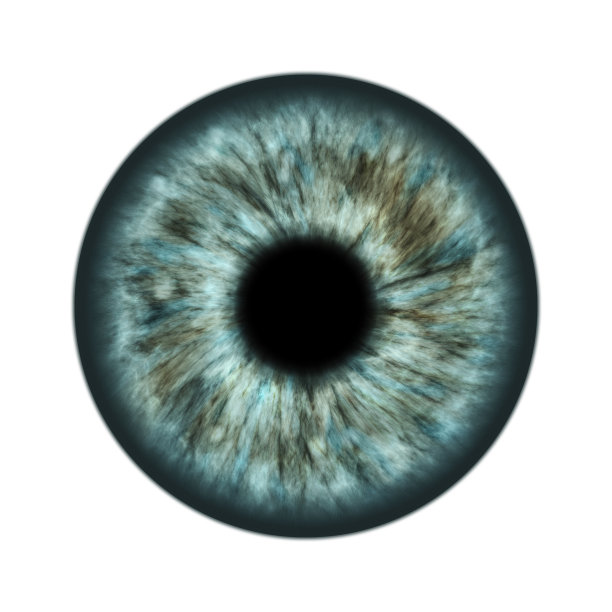 灰色的虹膜图片下载