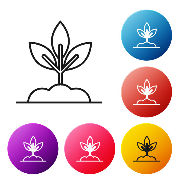 黑线植物图标孤立在白色背景上。种子和幼苗。叶子的迹象。叶自然。设置彩色圆形按钮图标。矢量图图片下载