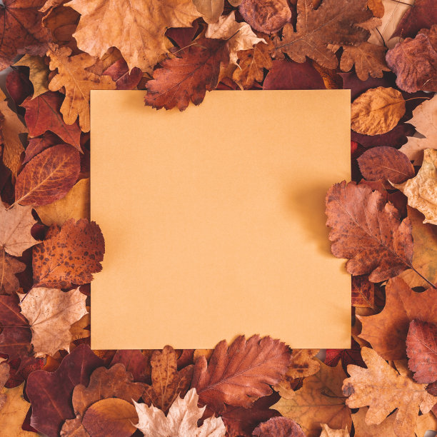秋天的成分。纸卡片，干树叶。秋天，秋天，感恩节的概念。平铺，俯视图，复制空间，正方形图片下载