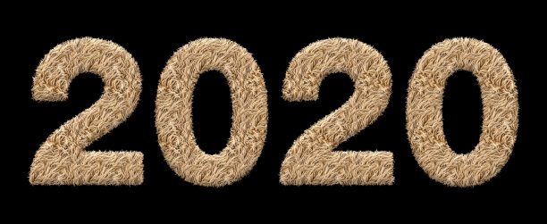 2020元旦照片素材ID：342324582