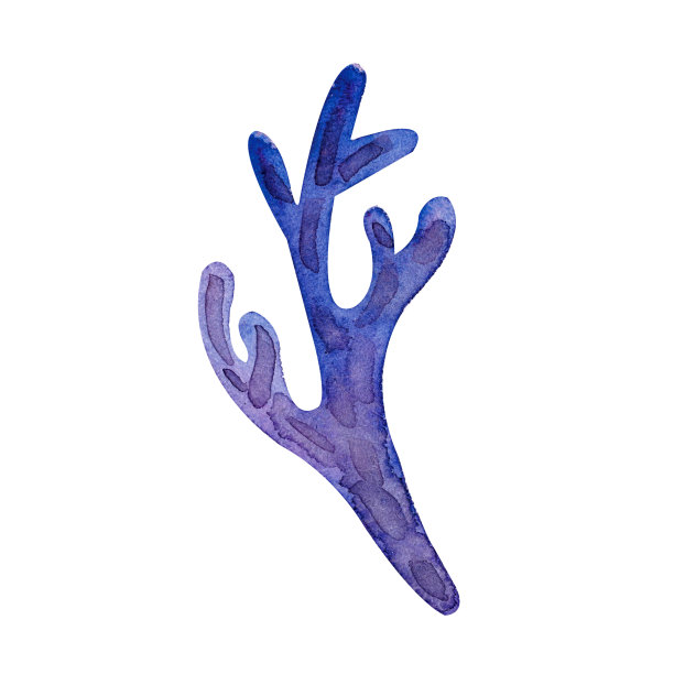 森林草在水彩孤立的白色背景。元素-草，野苔，林草，树枝。插图。精灵森林的可爱风格。装饰美观，插图典雅图片下载