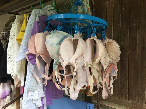 文胸挂在新鲜空气中晾干图片下载