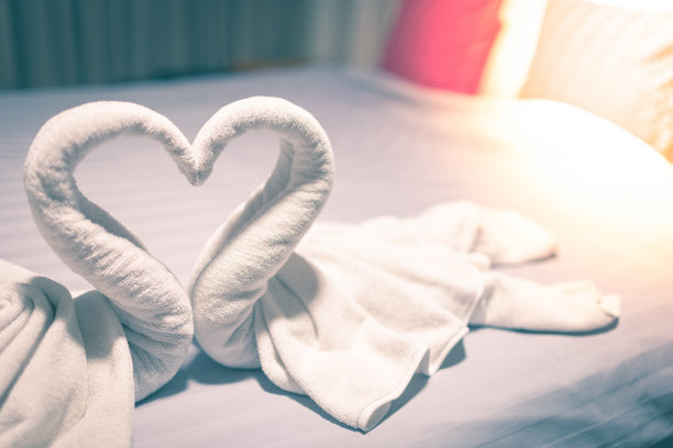 毛巾是用一只白天鹅做的，在床上细节艺术模糊图片下载