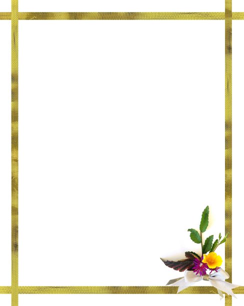 毛茛属植物的文具图片下载