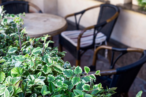 城市咖啡厅采用现代绿色装饰图片下载