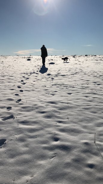 冬天散步图片下载