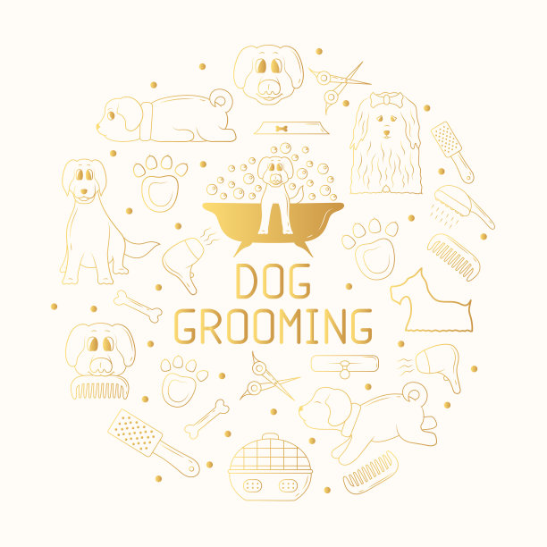 金色的狗美容架，供宠物商店或商店使用。行向量插图。黄金模板边界兽医收容所。图片下载
