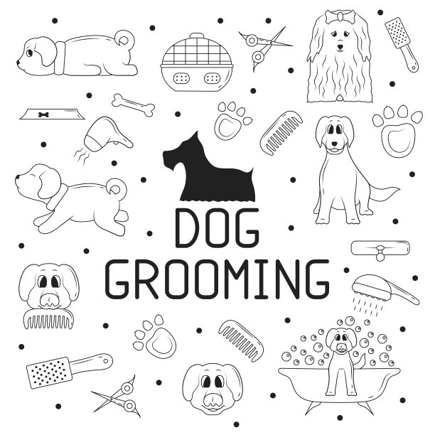 为宠物商店或商店的轮廓狗美容元素。兽医收容所模板。平面向量插图。可爱的小狗在洗澡，拿着刷子。图片下载