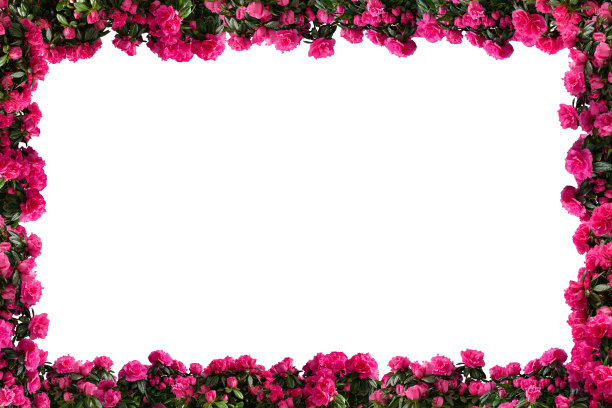 盆栽杜鹃花架5图片下载