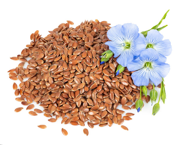 一堆亚麻籽和花图片下载