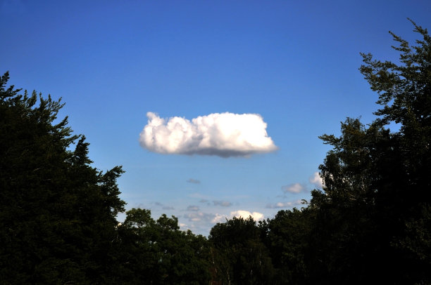 云在森林图片下载