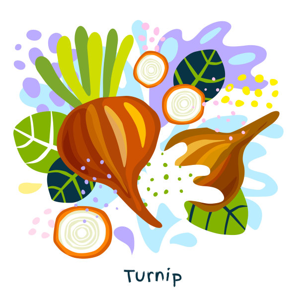 新鲜芜菁甜菜蔬菜汁飞溅有机食品上抽象彩色飞溅背景矢量手绘图片下载