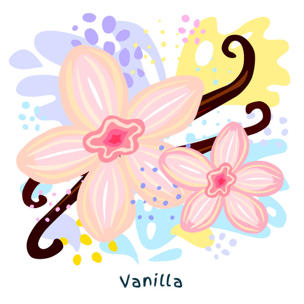 鲜花香草棒果汁喷溅有机食品调味品香料喷溅。辛辣的香草坚果。图片下载