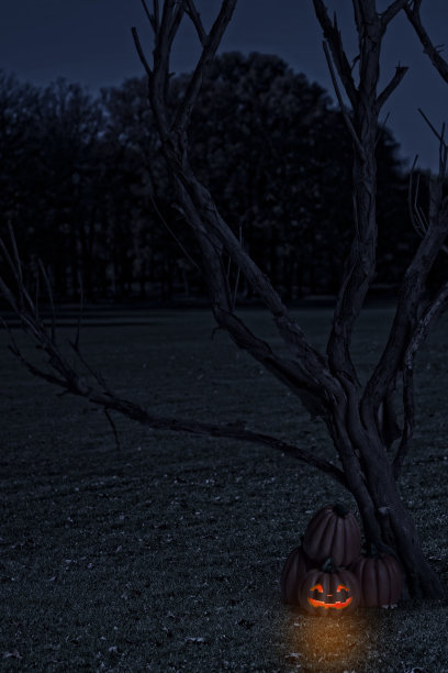 枯树旁发光的南瓜脸图片下载