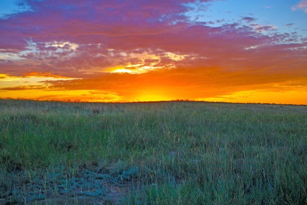 绿色田野上的日落图片下载
