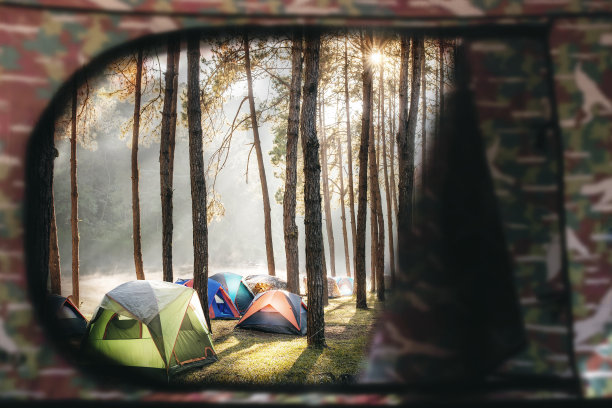 清晨阳光下，从帐篷窗口望出去，松树下五彩缤纷的帐篷。图片下载