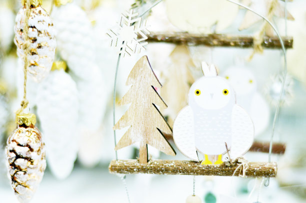 贺卡与圣诞猫头鹰在树枝和圣诞元素素材图片