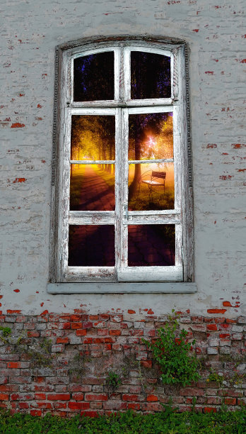 从废弃的砖墙中间的复古窗户看到的夜树巷的美丽景色，里面生长着绿色的植物图片下载