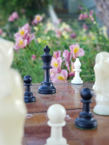 在花园里下棋图片下载