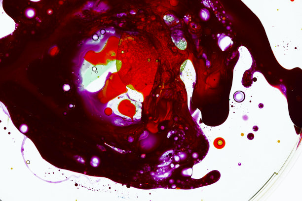 皮氏培养皿接近紫色液体图片下载