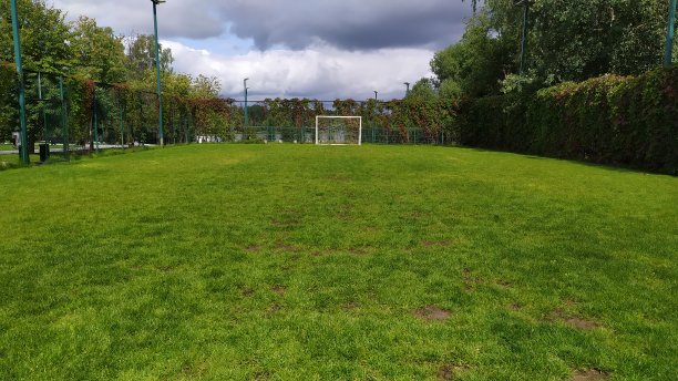 酒店公园里用树篱围起来的绿色足球场图片下载