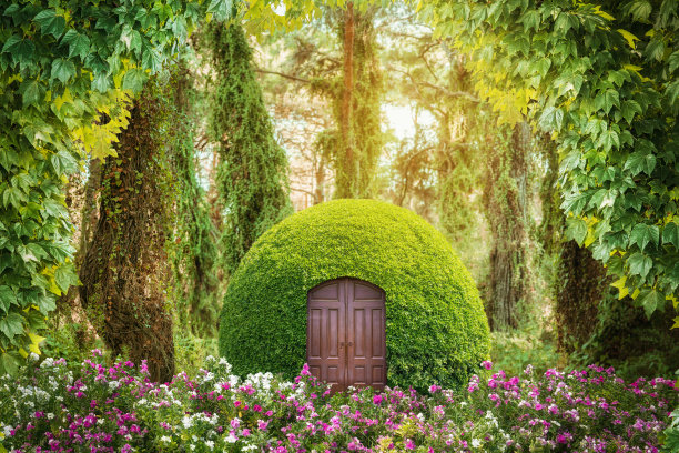 魔幻世界中绿色神秘的森林。童话故事的概念。图片下载