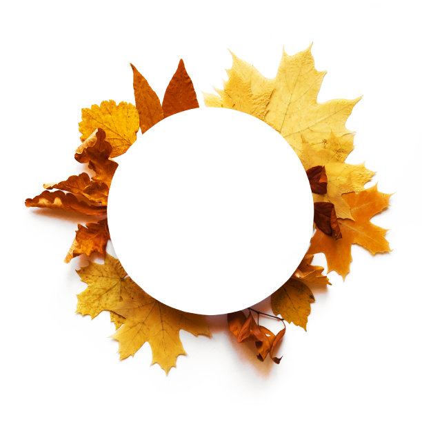 黄叶框架图片下载